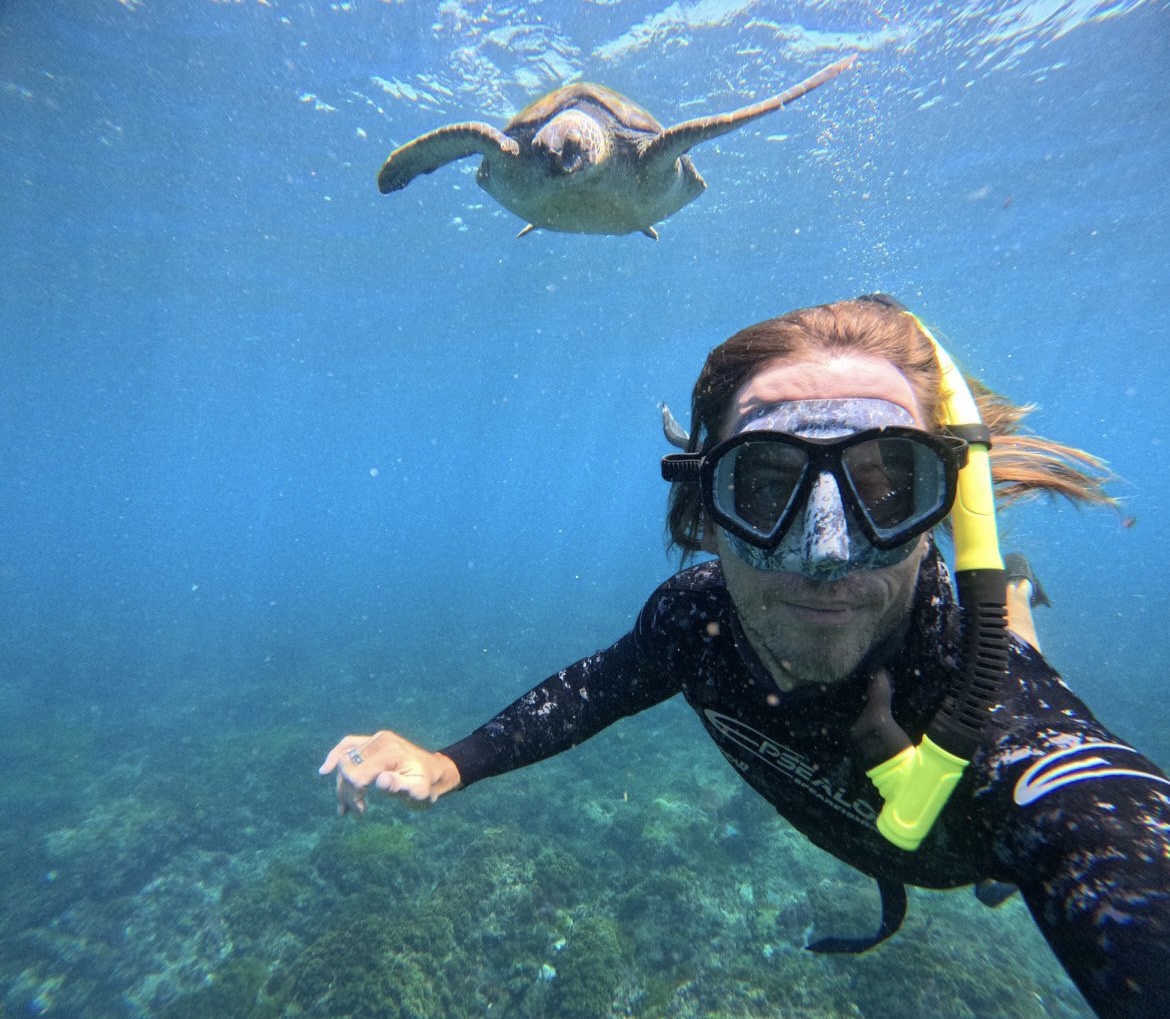 swim with the turtle - cooly eco adventures gold coast